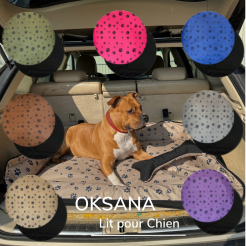 Lit pour Chien Oksana L : Espace Luxueux et Sécuris