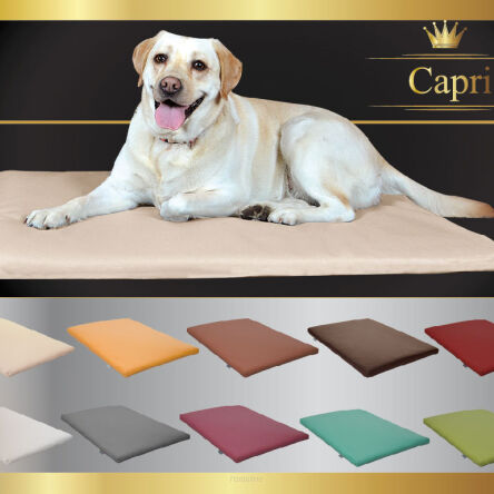 Coussin pour chien CAPRI M 80cmx60cm