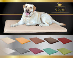 Coussin pour chien CAPRI M 80cmx60cm