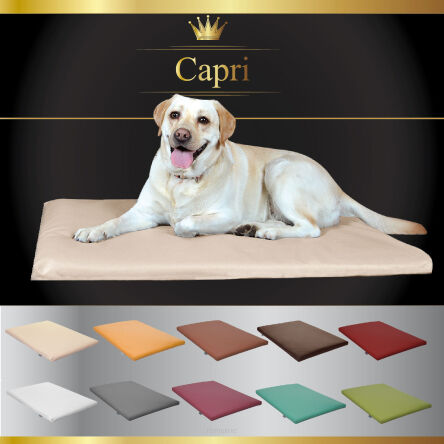 Tapis pour chien CAPRI XL 120cmx90cm